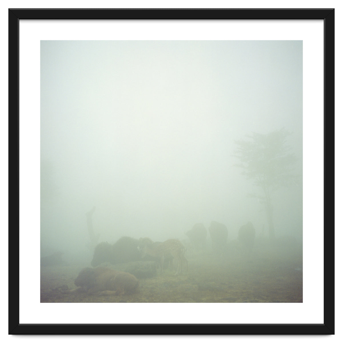 Silence of breath - 03