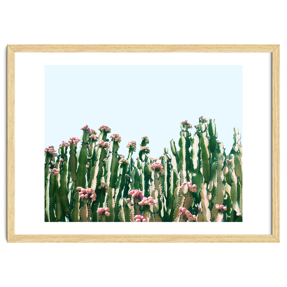 Blush Cactus #society6 #decor #buyart