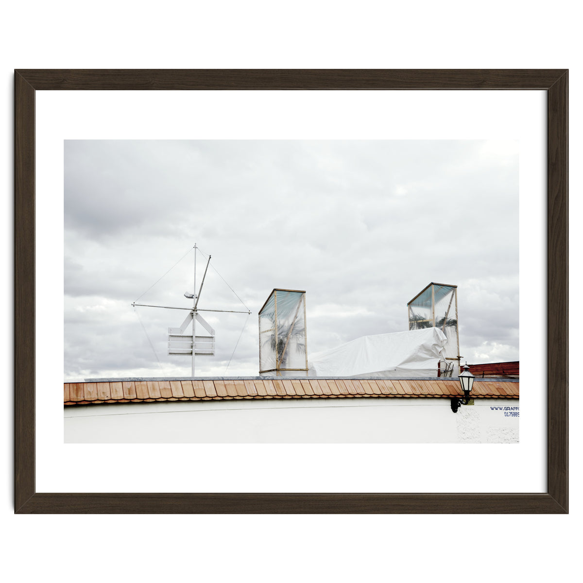 Palm tree waiting for summer