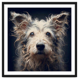 Old Dog 07 thumbnail