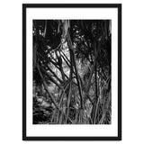 Black Tectorius Plant Art thumbnail