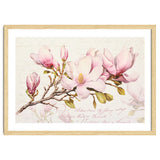 Magnolia Spring Romance Pink thumbnail