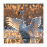 Swan Spreading Wings In Water Sunlight (Print Only) thumbnail