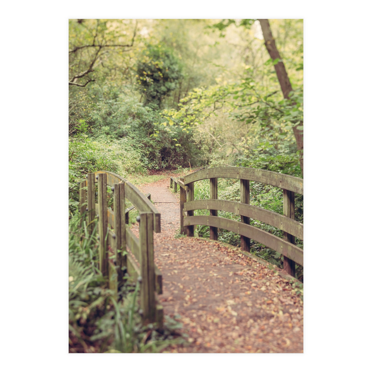 Path To The Bridge (Print Only)