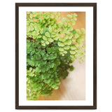 Maidenhair Queen thumbnail