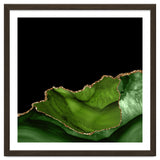 Green & Gold Agate Texture 06 thumbnail