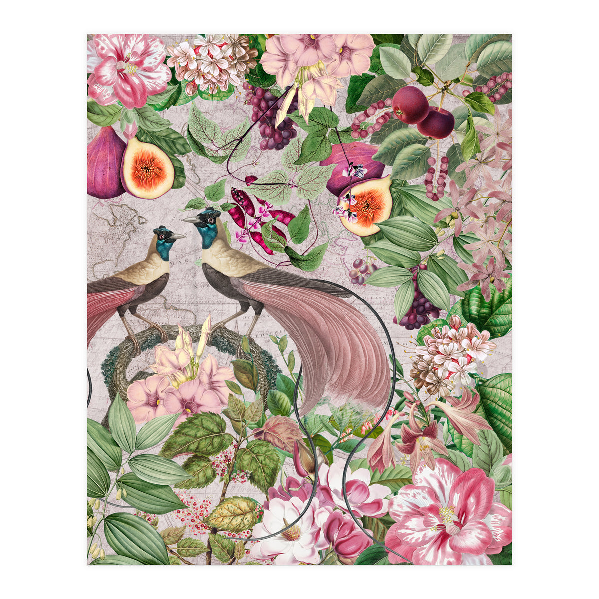 Vintage Birds Of Paradise Jungle  (Print Only)