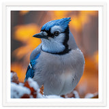 Blue Jay Bird In Winter Snowfall And Leaves thumbnail