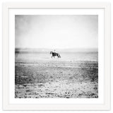 Sea Horse thumbnail