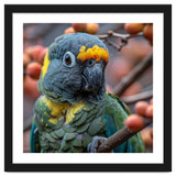 Yellow Headed Amazon Parrot Close Up Portrait thumbnail