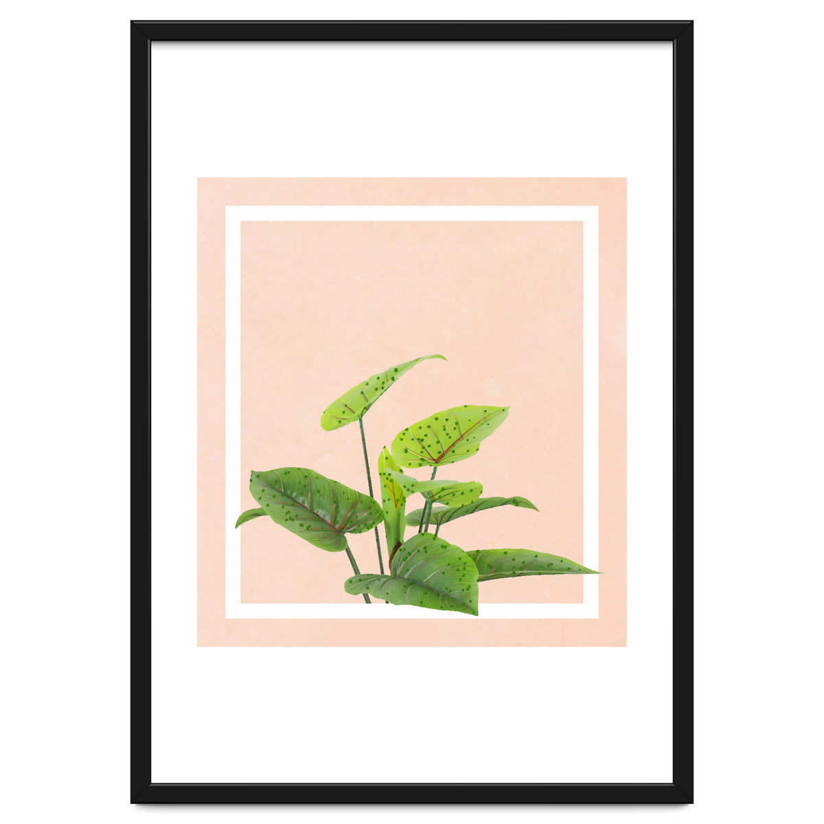 Botanical Art