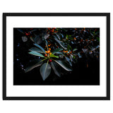 Orange, Green and Dark thumbnail