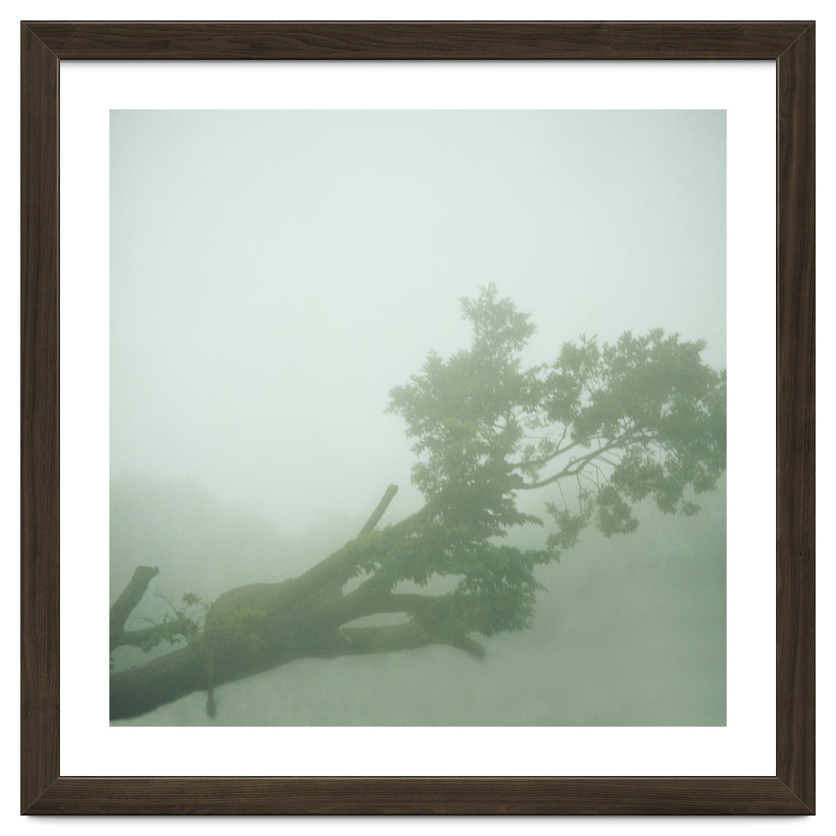 Silence of breath - 07