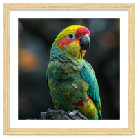 Vibrant Amazon Parrot Perched On A Branch