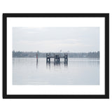 Birds rest in the Lake thumbnail