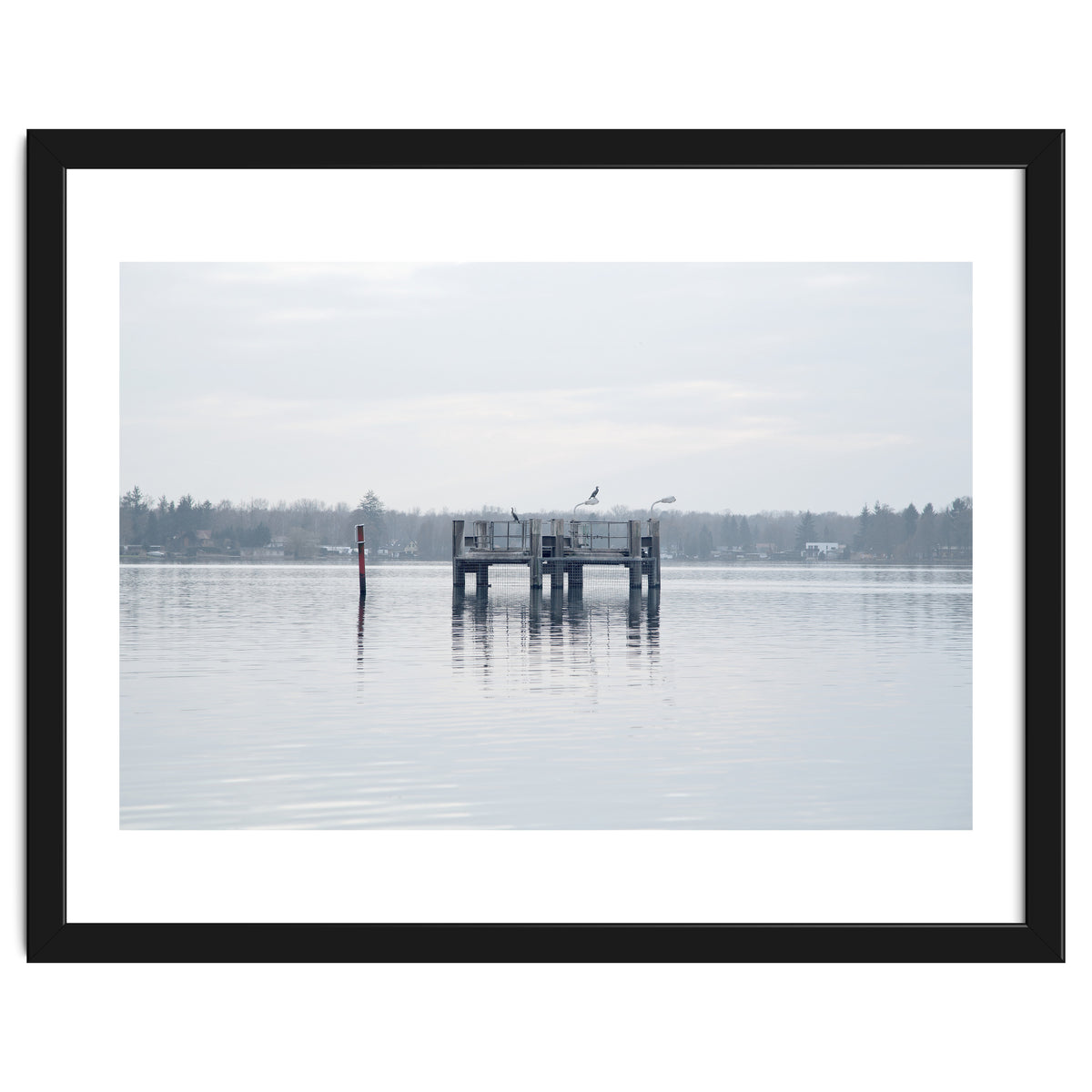 Birds rest in the Lake