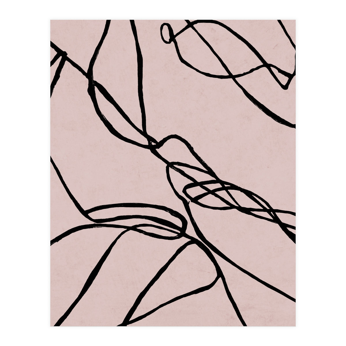 Lines on Rose (Print Only)