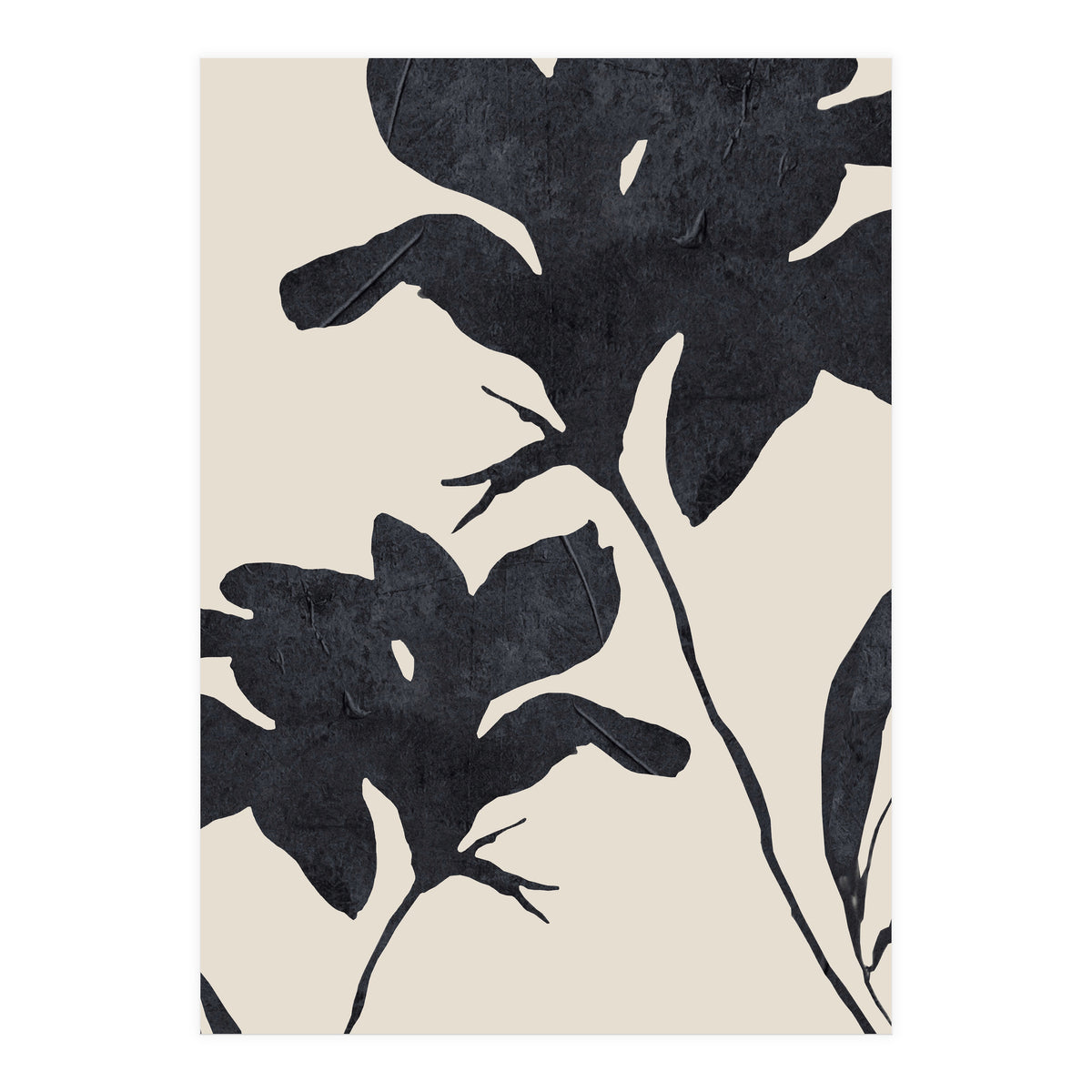 Shadowed Blooms (Print Only)
