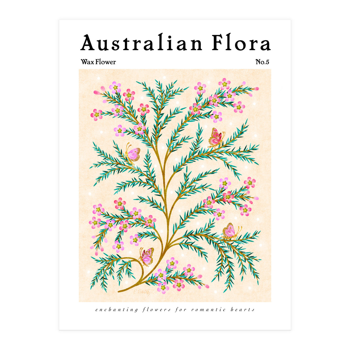 Australian Flora: Wax Flower (Print Only)