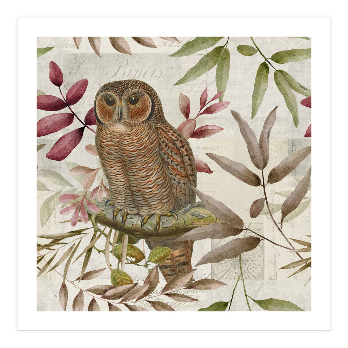 Autumn Owl (Print Only)