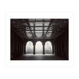 Levitation (Print Only) thumbnail