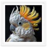 White Cockatoo With Yellow Crest Portrait thumbnail