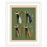 Striped Lemurs thumbnail