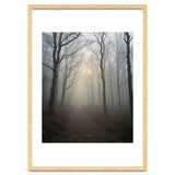Ethereal Morning Light Breaking Through Dense Forest Fog thumbnail