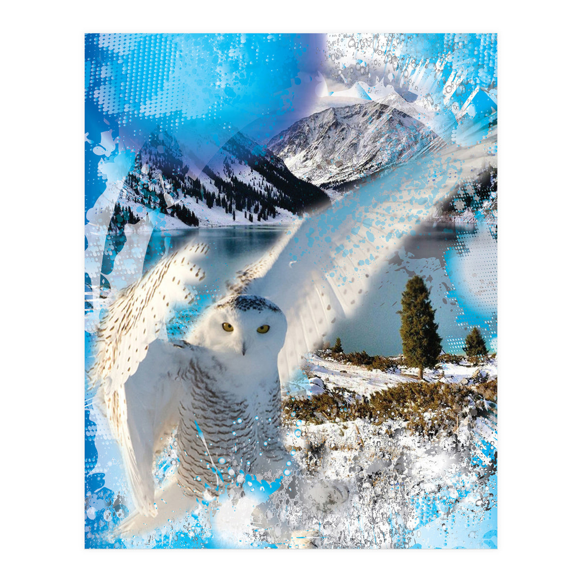 Snow Owl (Print Only)