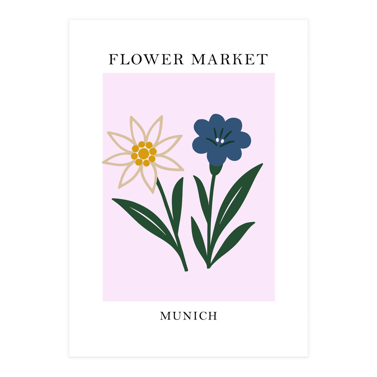 Munich Flower Market - Minimalist Edelweiss Botanical Print (Print Only)