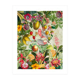 Pink Cockatoo vintage jungle  (Print Only) thumbnail