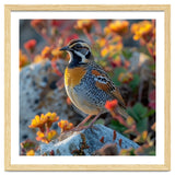 Bird Perched On A Rock With Flowers thumbnail