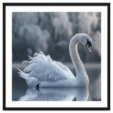 Majestic White Swan Gracefully Floating On Water thumbnail