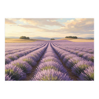 Provençal Sunset: Lavender Field Landscape (Print Only)