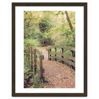 Path To The Bridge