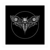 Deaths Head Moth (Print Only) thumbnail