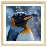 King Penguin Close Up In Snowy Environment thumbnail