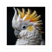 Close Up Cockatoo Portrait Yellow Crested Bird (Print Only)