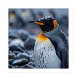 King Penguin Standing In Snowfall Outdoors (Print Only) thumbnail