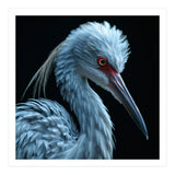 Striking Portrait Of A Blue Heron Bird (Print Only) thumbnail