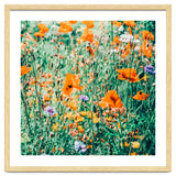 Eva | Nature Floral Meadow Garden | Photography Botanical Spring Bohemian Flowers thumbnail