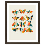 Colorful Butterflies thumbnail