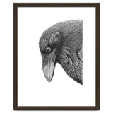 Huginn thumbnail