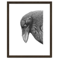 Huginn