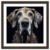 Old Dog 04 thumbnail