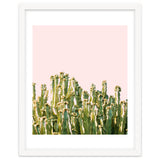 Cactus Blush #society6 #decor #buyart thumbnail