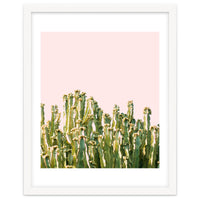 Cactus Blush #society6 #decor #buyart