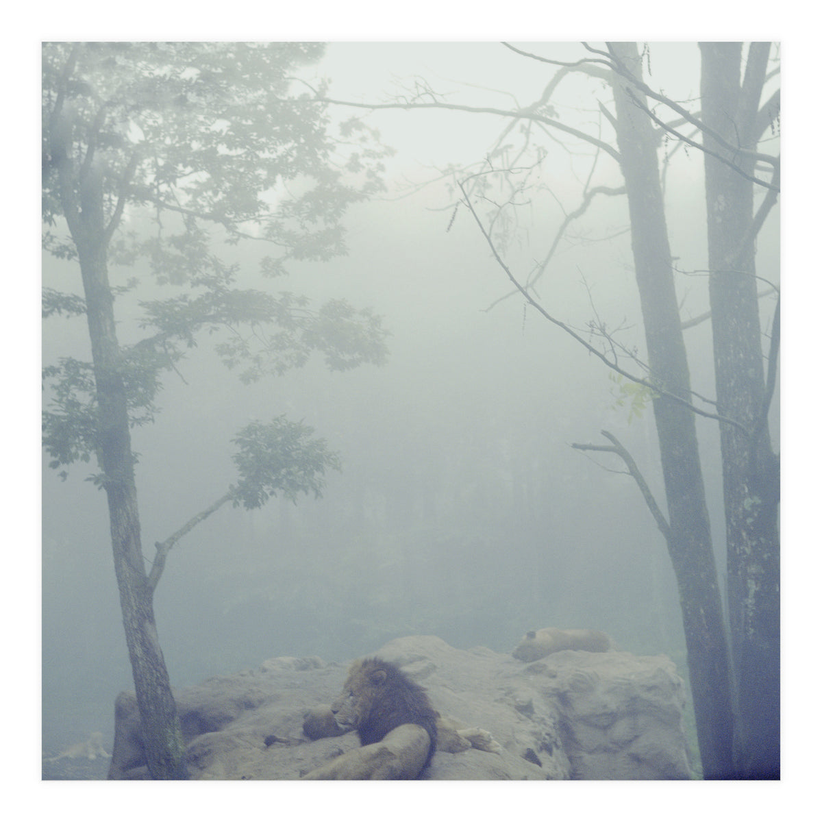 Silence of breath - 02 (Print Only)