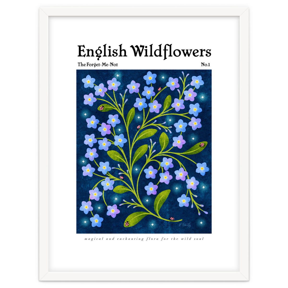 English Wildflowers | Forget-Me-Not