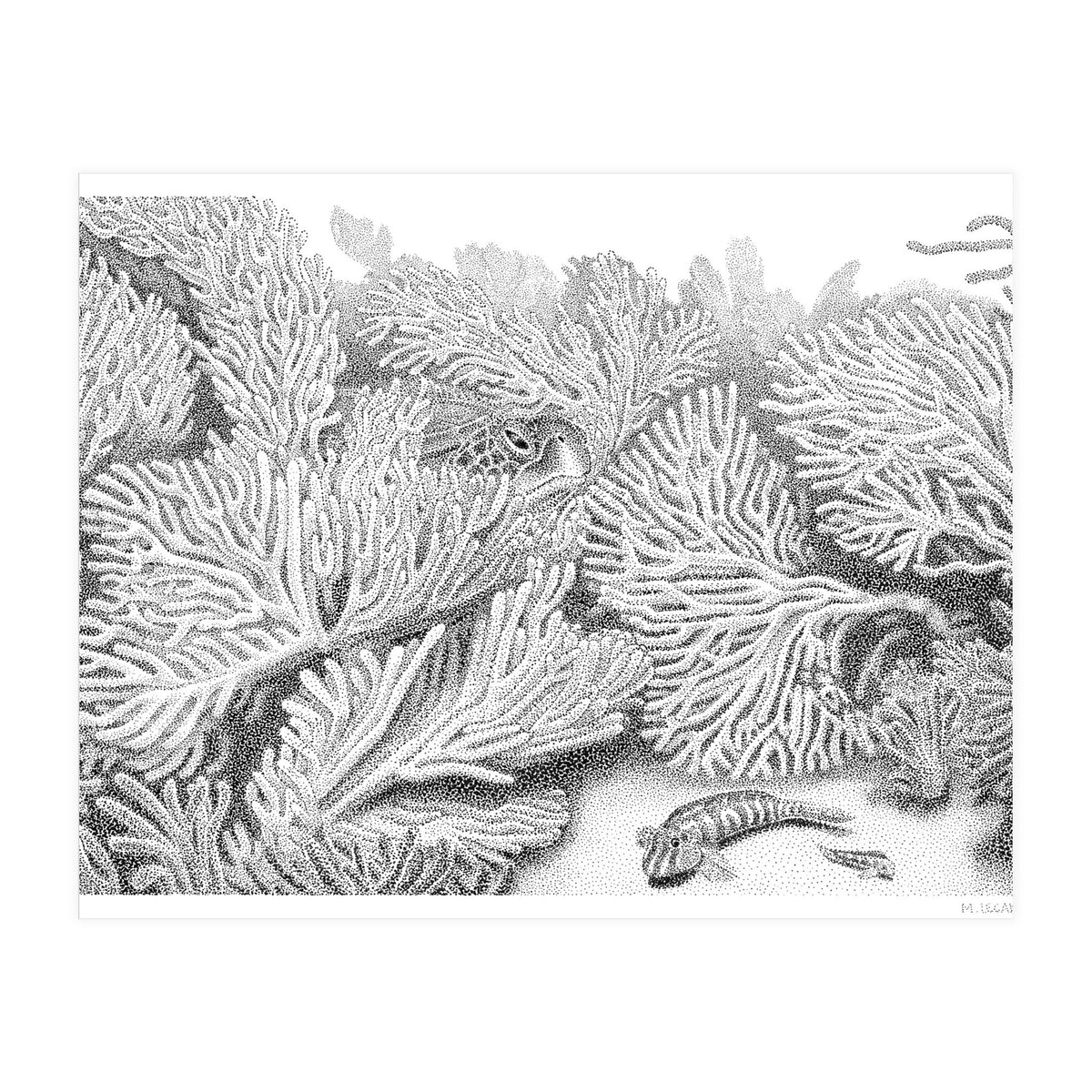 Hidden in plain sight (Print Only)